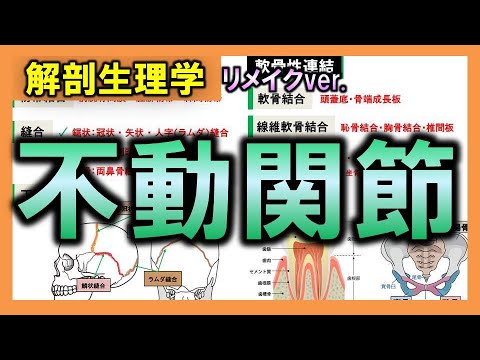 ICD-10 第 13 章: 骨関節系、筋肉および結合組織の疾患 - 定義