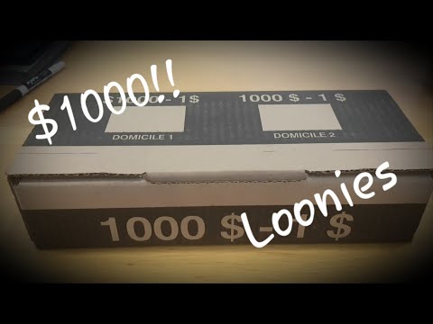 $1000 IN LOONIES!!! ( My first full box hunted)