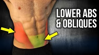 4min Home LOWER ABS and OBLIQUES Workouts (NO EQUI