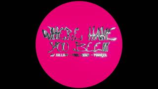 Download lagu DJ Tallboy, Paul Meier, Paraçek - Where Have You Been mp3