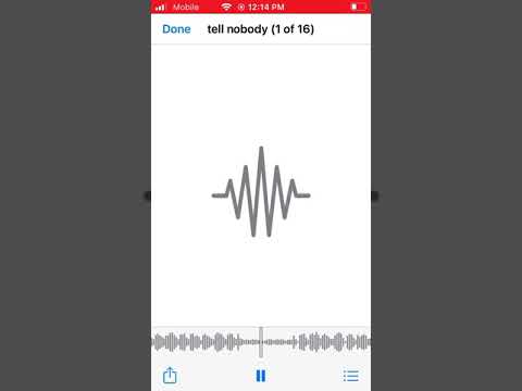 Tell nobody ft Lito (unreleased)