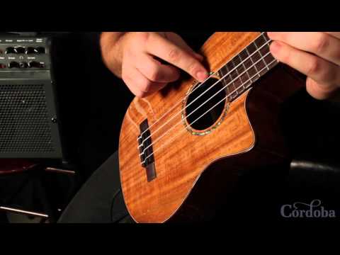 LR Baggs five-O Ukulele pickup system image 2
