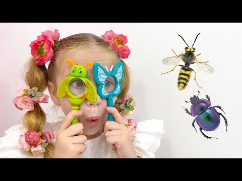 Nastya learn insects with her dad