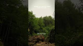 Download lagu story wa hari minggu 30 detik mp3