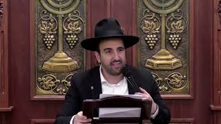 הרב מאיר אליהו | חייך למצלמה 📷 | משכן יהודה חשון תשפ"ו (רבנים שונים) - התמונה מוצגת ישירות מתוך אתר האינטרנט יוטיוב. זכויות היוצרים בתמונה שייכות ליוצרה. קישור קרדיט למקור התוכן נמצא בתוך דף הסרטון הרב מאיר אליהו | חייך למצלמה 📷 | משכן יהודה חשון תשפ"ו (רבנים שונים) - התמונה מוצגת ישירות מתוך אתר האינטרנט יוטיוב. זכויות היוצרים בתמונה שייכות ליוצרה. קישור קרדיט למקור התוכן נמצא בתוך דף הסרטון