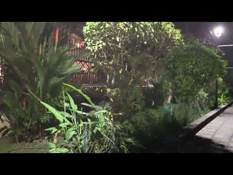 Kerala Tour Diaries – Fort Kochi & Marine Walk