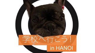 日本人学校公認!ハノイの小中学校で歯科検診!その裏側を覗いてみよう!
