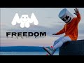 LŠV,Riemann walker - Freedom "Marshmello style" (Official Music Video 2019)