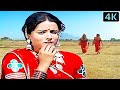 Sports Jogi Ray - Damayanti Bardai - Rita Bhadhuri - Alakh Niranjan - 4K Gujarati Song