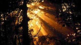 Voice in the Dark - Autopilot Off