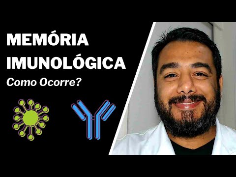 What is Immunological Memory | #Antigen and #Antibody | #Immunology | IBAP Courses