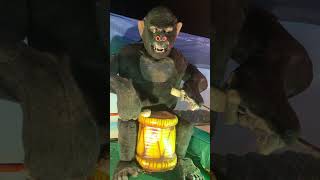 Gorilla 🦍Playing Drum 🥁 at Exhibition #shorts
