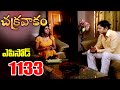 Episode 1133 Chakravakam Telugu Daily Serial Srikanth Entertainments Loud Speaker