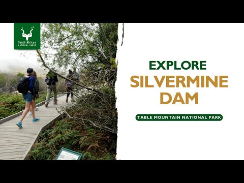 Silvermine Dam | Table Mountain National Park #SANParks