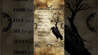 Download lagu How many crows have you seen #shorts #fyp #fypシ #countingcrows #deepmeaningpictures #folklore mp3 Download lagu How many crows have you seen #shorts #fyp #fypシ #countingcrows #deepmeaningpictures #folklore mp3