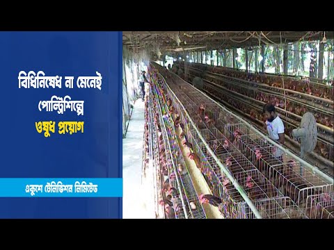 পোল্ট্রিশিল্পে মাত্রাতিরিক্ত ওষুধের ব্যবহারে