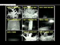GHO In S Nest Barney In Hole 11 26 12 4 30am