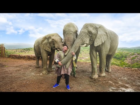 ISSO SIM É AFRICA ❤️