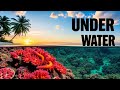 channel