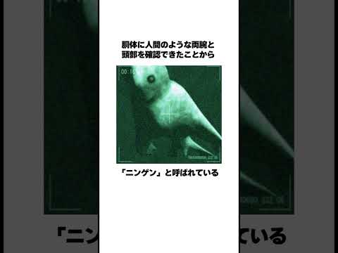 かつて北極には高機能森林が生えていたのでしょうか?