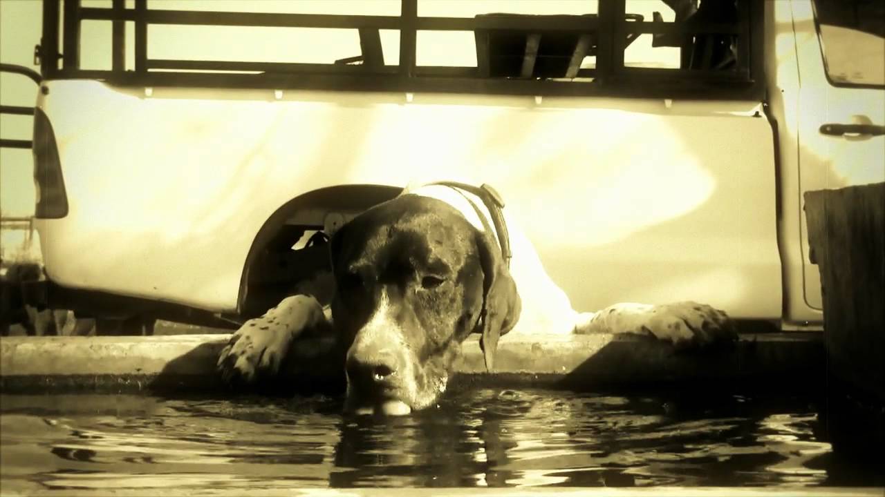 Discover Today The Safaris of Graham Jones!