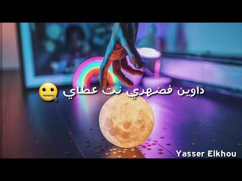 MR CRAZY × DANDANI - VNTM