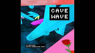 Cover art for Cave Wave