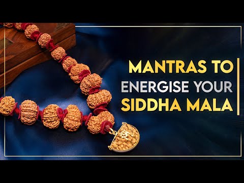 Energisation of the Siddha Mala | How to Energise Your Rudraksha Beads and Combinations