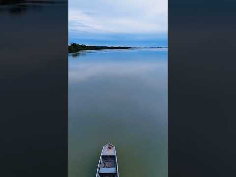 Brejinho de Nazaré História