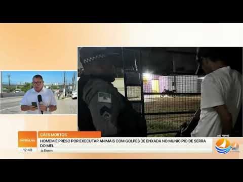 Em Serra do Mel/RN: jovem ma:ta cães e é liberado pela justiça 