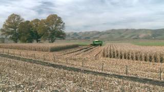 preview picture of video 'Corn harvest 2010 with a John Deere 9650 on rubber tracks and Olimac Drago head'