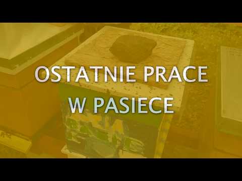 #17 Ostatnie Prace w Pasiece - Wrzesień 2018