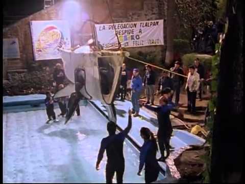 Les derniers jours de Keiko - 12 décembre 2003 | KATU dans les archives