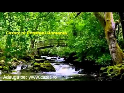 Cazare Coman, Bacau - Cazat.ro