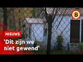Honderd vluchtelingen opgevangen in vakantiepark Oisterwijk | Omroep Brabant