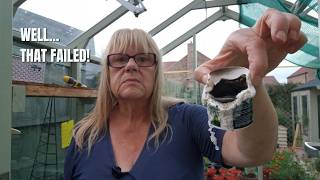 Enough Is Enough | My Greenhouse Reset Goes Wrong