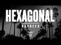 AYWTO HEXAGONAL RAYBEES MV