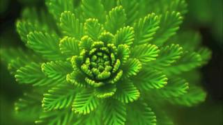 Cover art for Free exp