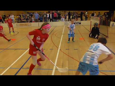 FBC Šluknovsko - Přípravka 8.Turnaj - Liberec - 8.7.2018