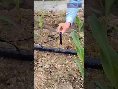 Adjustable dripper with 28cm stick #microirrigation #jainirrigation #sprinklerirrigation #dripper