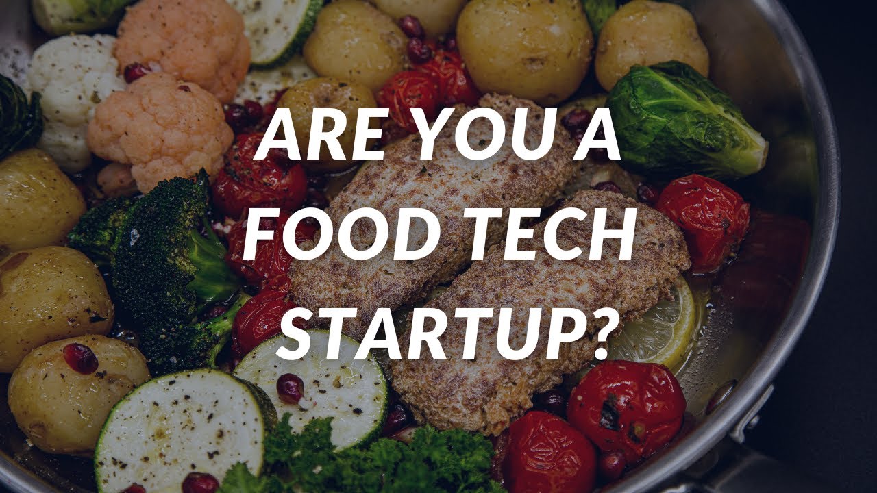 The Perfect Program for Alternative Protein Startups | Big Idea Ventures Accelerator Program