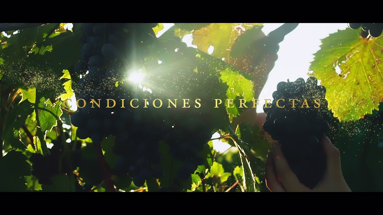 Casillero del Diablo Reserva Especial - 30 seg.