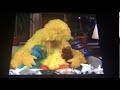 Big Bird Rosita And Baby Bear Sleeping On Cinco De Mayo