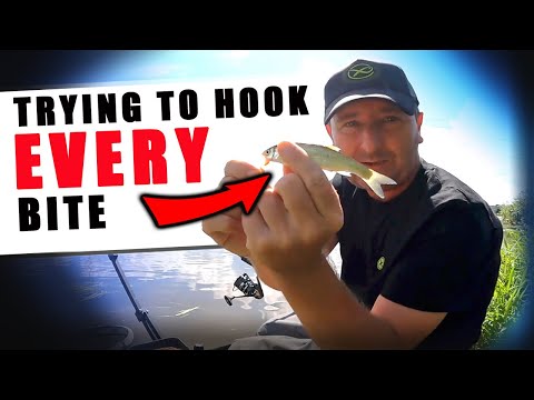 Feeder Fishing on the River Trent!