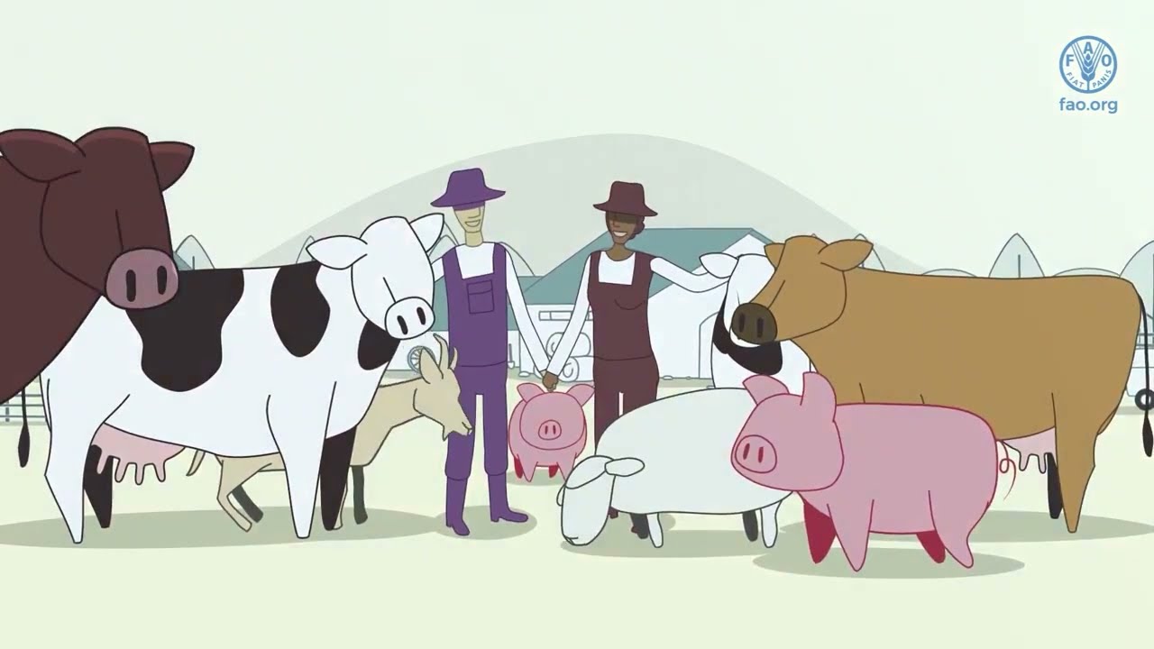 O que você precisa saber sobre a febre aftosa