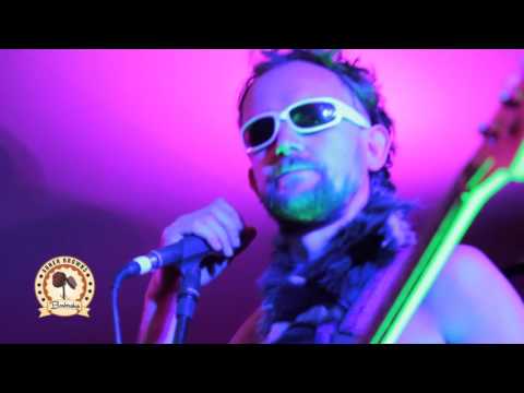 Abner Brown's At Electric Picnic Highlights   2015