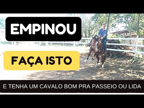 How to stop a horse from rearing. Secret to a horse that rears