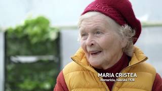 100 De Ani De România cu fructe și legume