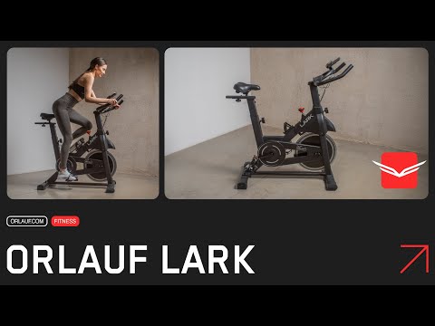 Миниатюра изображения товара Велотренажер Orlauf Lark 16452
