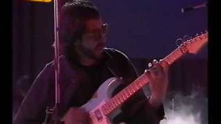 LUZ CASAL  LOS OJOS DEL GATO  TOCATA.avi